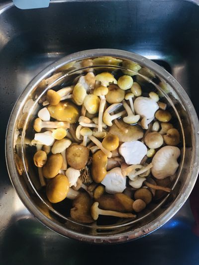 toomanypotatos profile