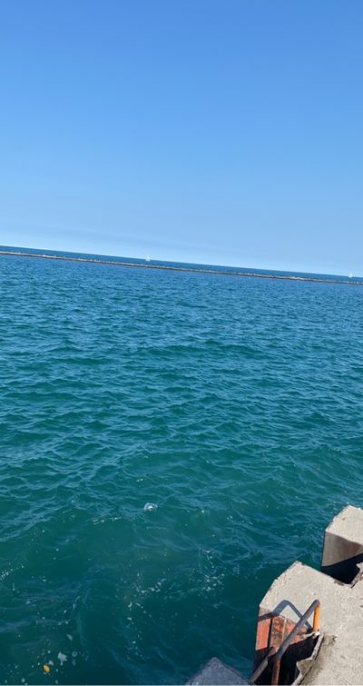 kellizombie thumbnail