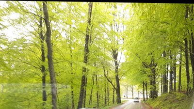 nevesspace thumbnail