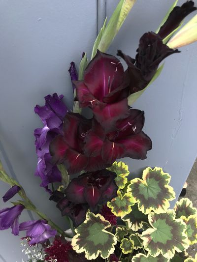 lola_woods18 thumbnail