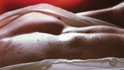 mateotaurus thumbnail