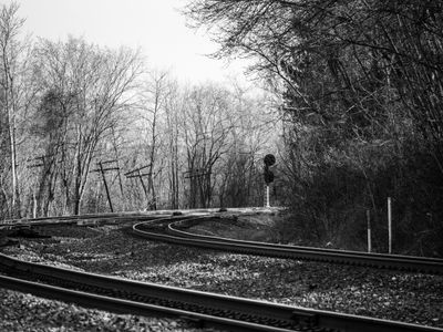 yougotthisokay profile