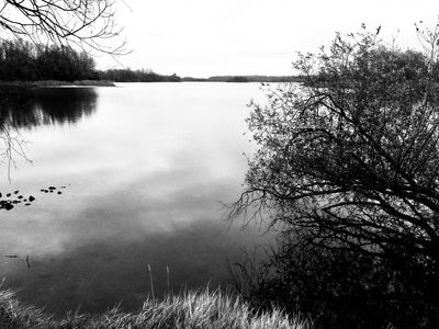 jenna 🦇 thumbnail