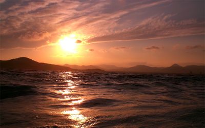 summerairds thumbnail