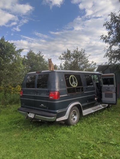 thedirtyhippy thumbnail