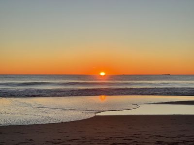 beardedwombat thumbnail