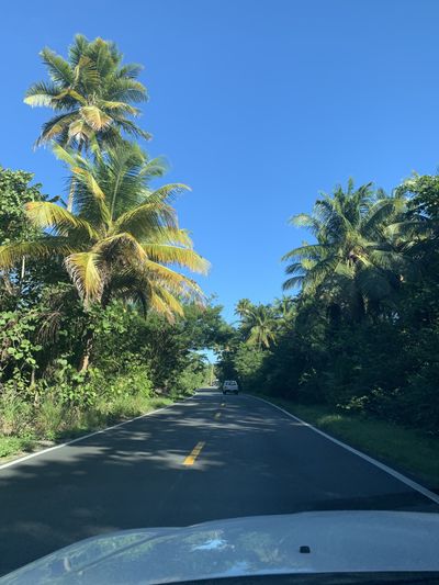 therealdemongal thumbnail