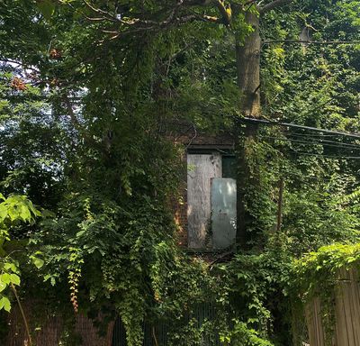 nikkiyarrowfree thumbnail