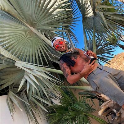 Vito The Stripper thumbnail