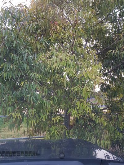 jimmydee1981 thumbnail