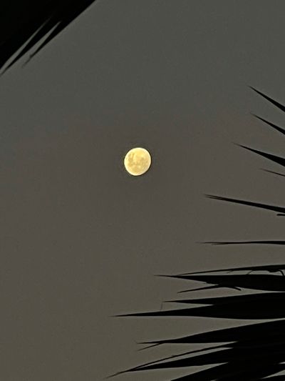 chicosdulces thumbnail