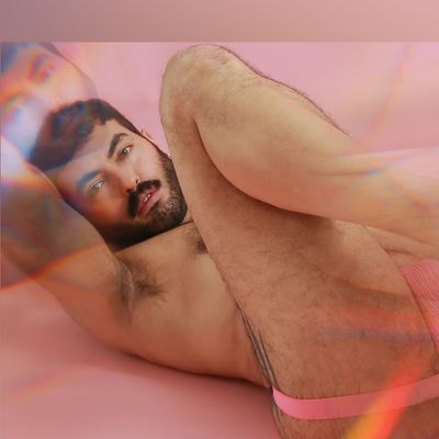 theshadowfox thumbnail