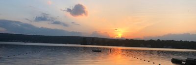 suzanne.xlv thumbnail