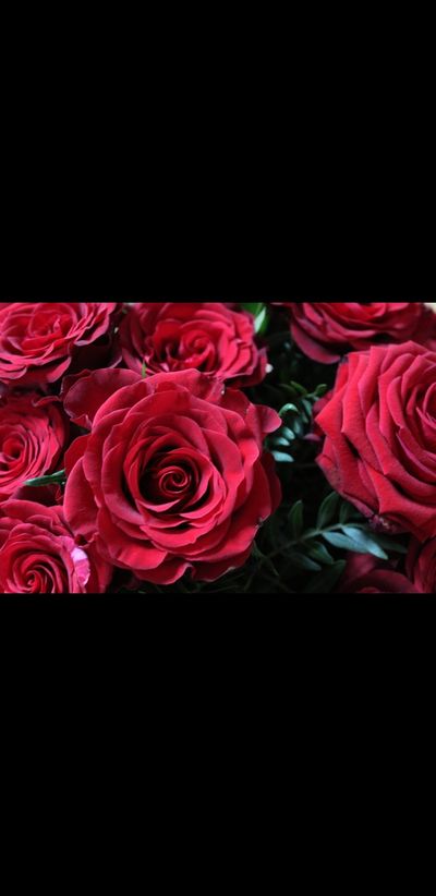 miriam_3sl thumbnail