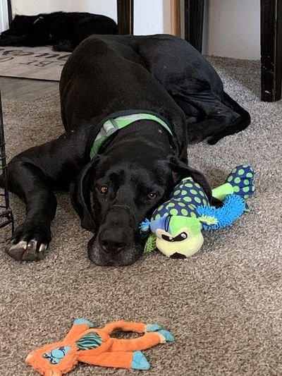 Kenzie Garrett thumbnail