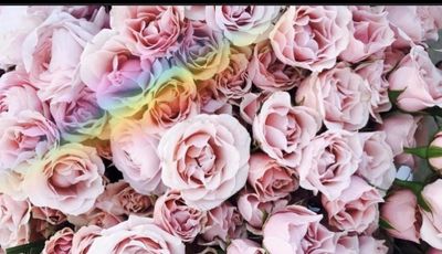 the_bestof_jasminemarie thumbnail