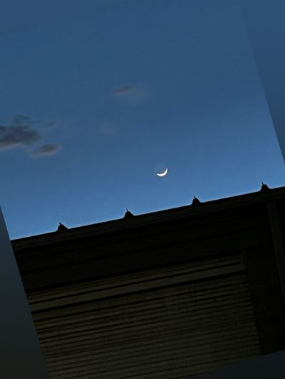 erotic.kitty thumbnail