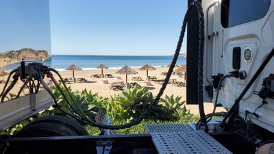 theorgasmdonor thumbnail