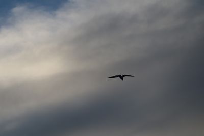 ketthanson thumbnail