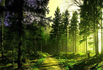 leslievilla_c thumbnail