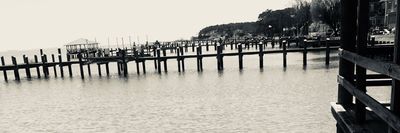 King Honey thumbnail