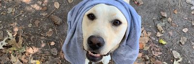 jusanotherluke thumbnail