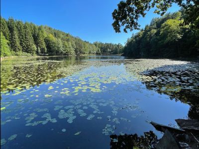 oskarjarvi thumbnail