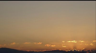 sofiabucheli thumbnail