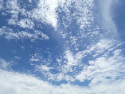 LOURDES NOEMI CRISTALDO thumbnail