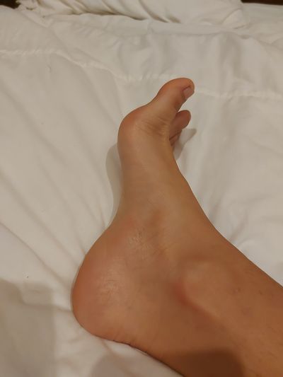 catlittlepaws profile