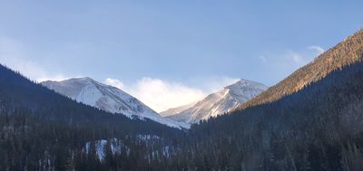 mtnmanlove thumbnail