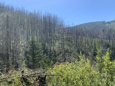 melinoegoddess thumbnail