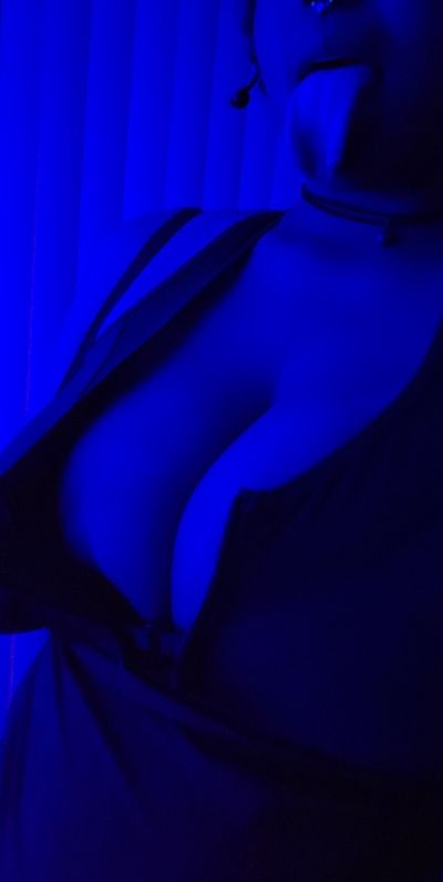 Beez The Fox profile