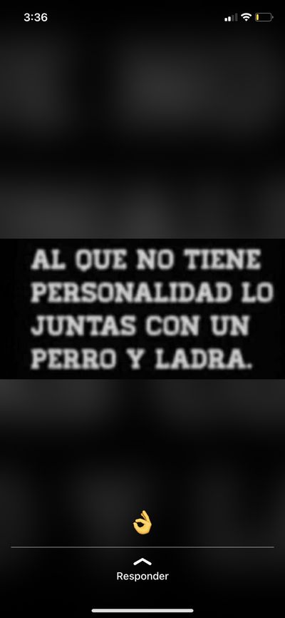 emcegermayoly profile