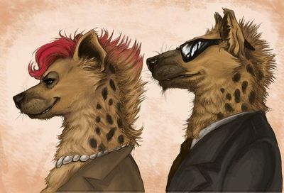 Only  follow  hotties thumbnail