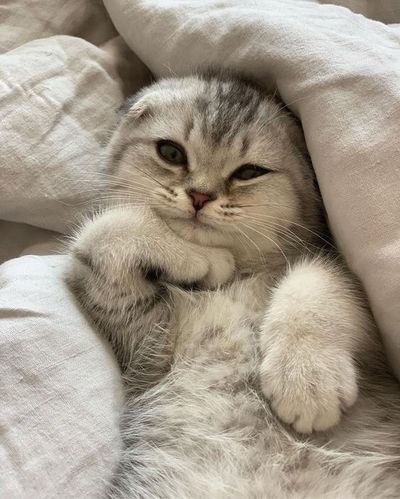 Wiranie Setsuwan thumbnail