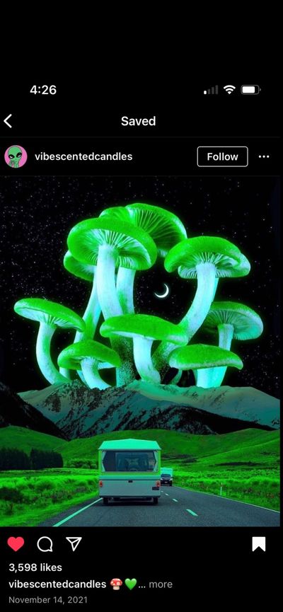 dahlia 🖤 thumbnail