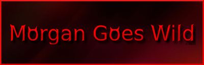 morgangoeswild thumbnail