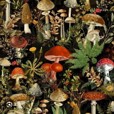 rosephotos thumbnail