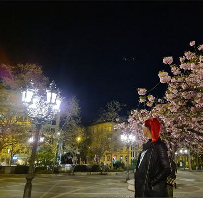 Wild-Vanilla ♥ thumbnail