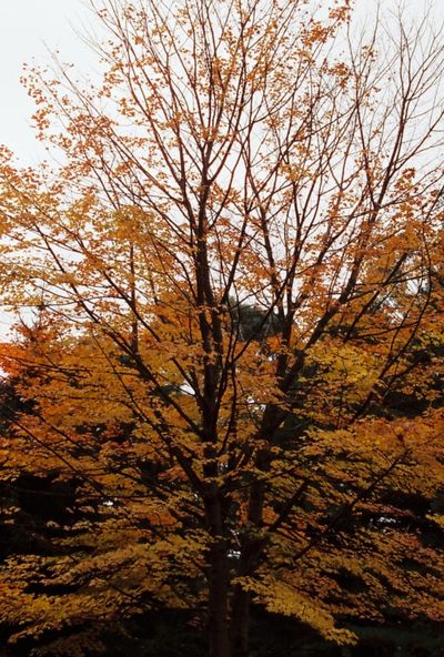 sevenoceansdeep thumbnail