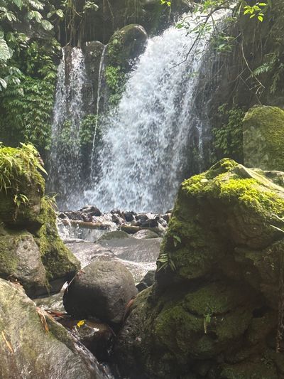 versetwink98 thumbnail