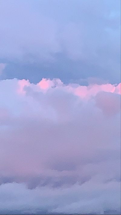 ladybynature thumbnail