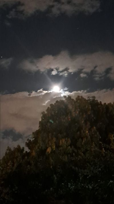 circe_onlyfans profile