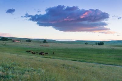 harleybelle81 thumbnail