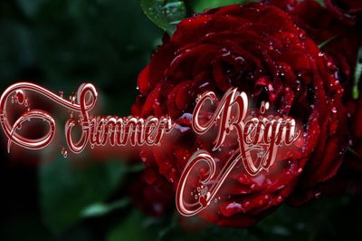 u105824142 thumbnail