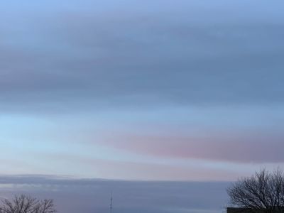 burgundee2022 thumbnail