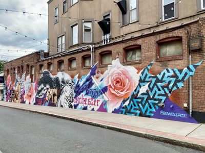 Pull my Beard thumbnail