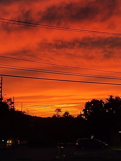 xyzwiildbaebbc thumbnail