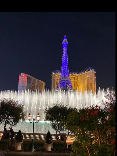 totalsubforyou thumbnail